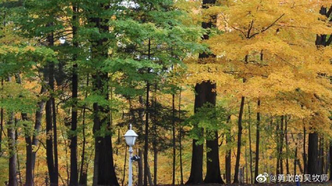 近期置换推广品牌化塑造您的内容形象:内容审核、流量分发与变现的中枢平台,急性子瘦小腹练这个就行了