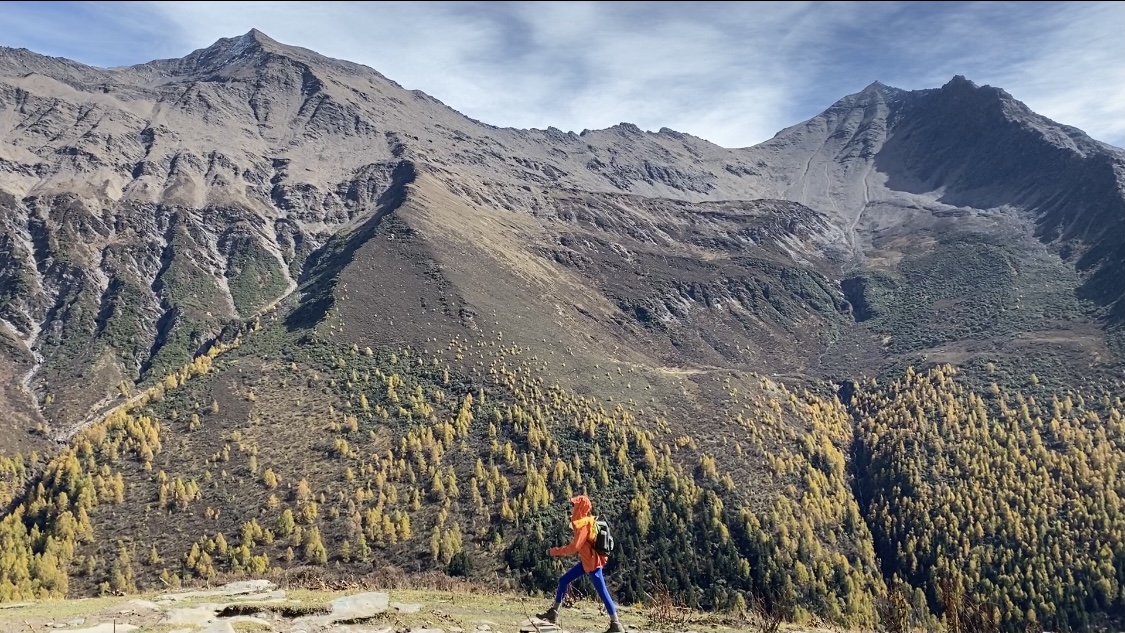 微博24小时自助